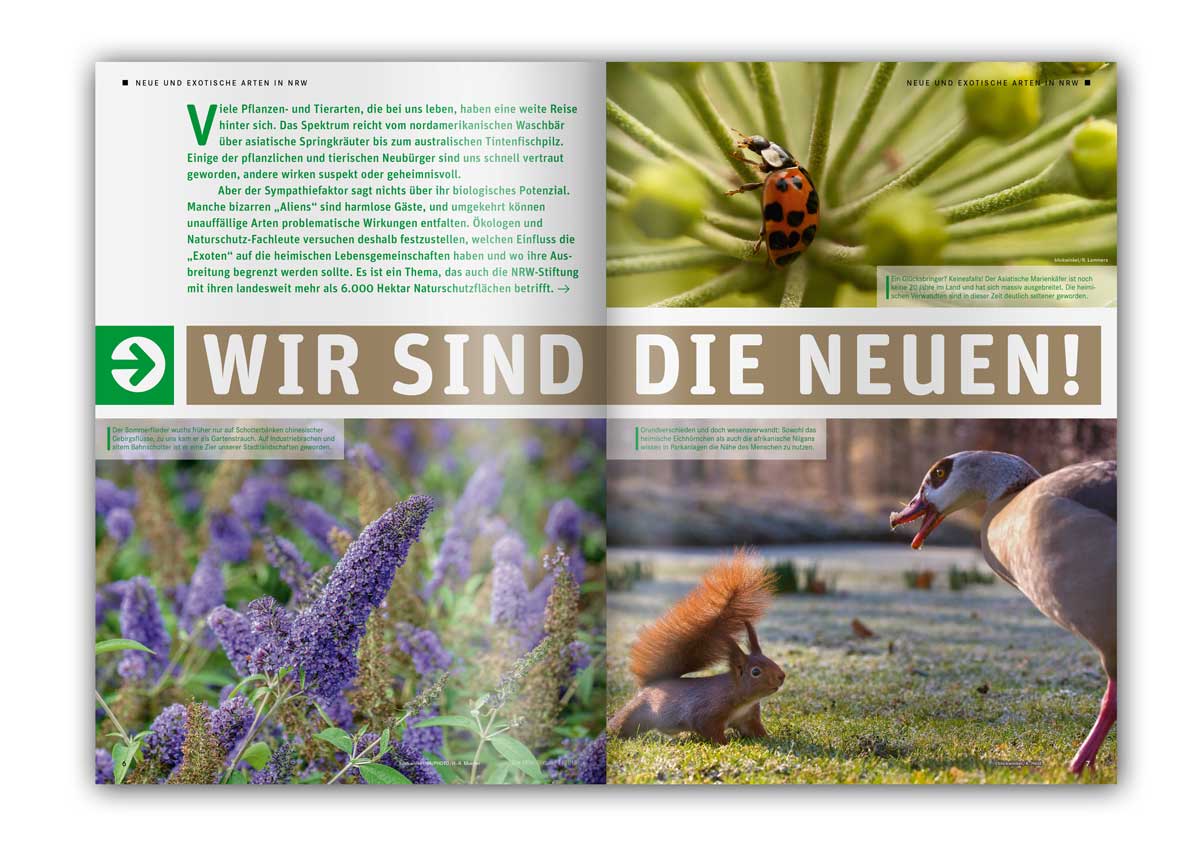 EE-Paper, Magazin der NRW-Stiftung