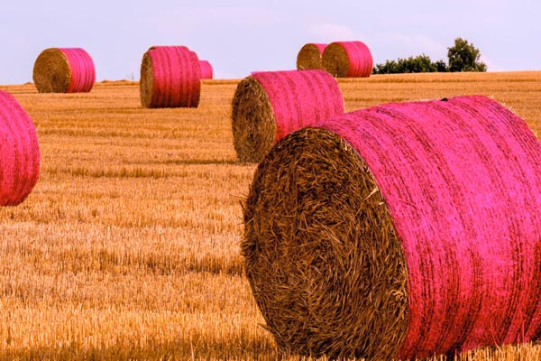 Regionale 2016 – informieren und codieren